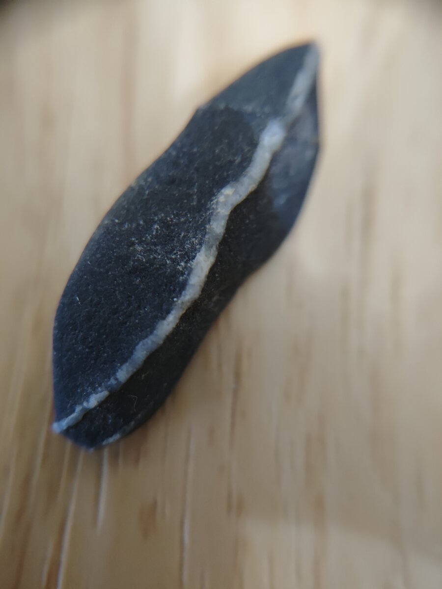 #6 黒い粘板岩 クローズアップ