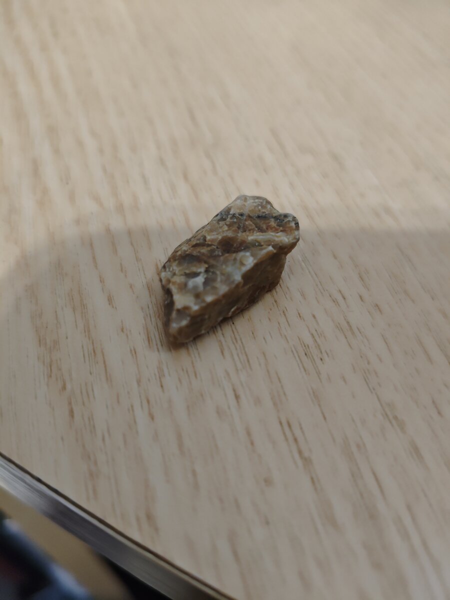 #15 チャート（茶褐色）