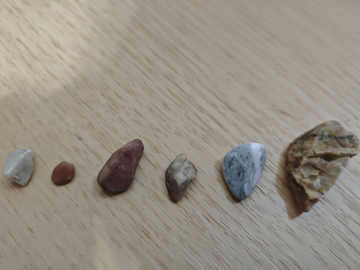 タンブラー候補の5色セット